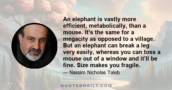 An elephant is vastly more efficient, metabolically, than a mouse. It's the same for a megacity as opposed to a village. But an elephant can break a leg very easily, whereas you can toss a mouse out of a window and