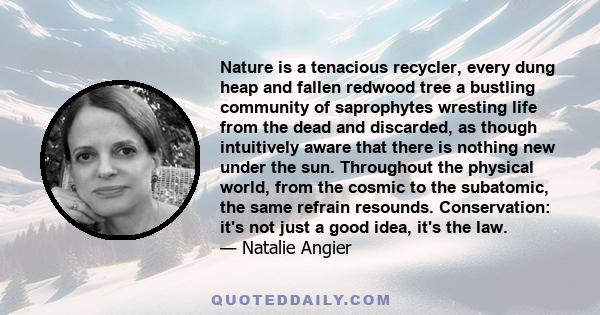 Nature is a tenacious recycler, every dung heap and fallen redwood tree a bustling community of saprophytes wresting life from the dead and discarded, as though intuitively aware that there is nothing new under the sun. 