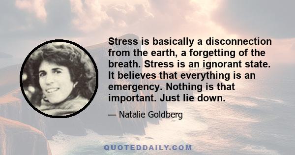 Stress is basically a disconnection from the earth, a forgetting of the breath. Stress is an ignorant state. It believes that everything is an emergency. Nothing is that important. Just lie down.