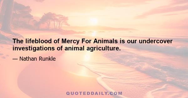 The lifeblood of Mercy For Animals is our undercover investigations of animal agriculture.