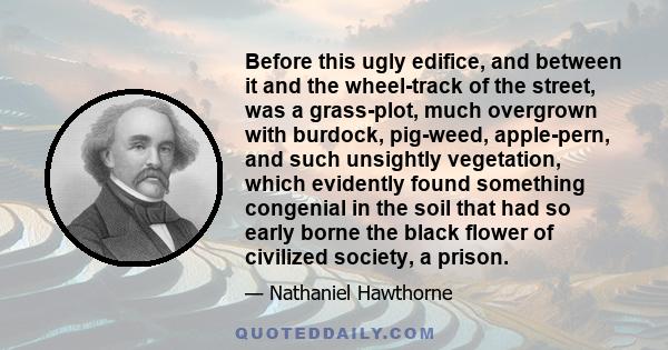 Before this ugly edifice, and between it and the wheel-track of the street, was a grass-plot, much overgrown with burdock, pig-weed, apple-pern, and such unsightly vegetation, which evidently found something congenial