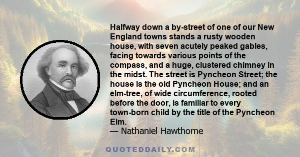 Halfway down a by-street of one of our New England towns stands a rusty wooden house, with seven acutely peaked gables, facing towards various points of the compass, and a huge, clustered chimney in the midst. The