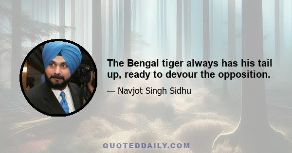 The Bengal tiger always has his tail up, ready to devour the opposition.