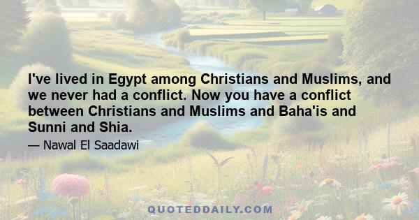 I've lived in Egypt among Christians and Muslims, and we never had a conflict. Now you have a conflict between Christians and Muslims and Baha'is and Sunni and Shia.