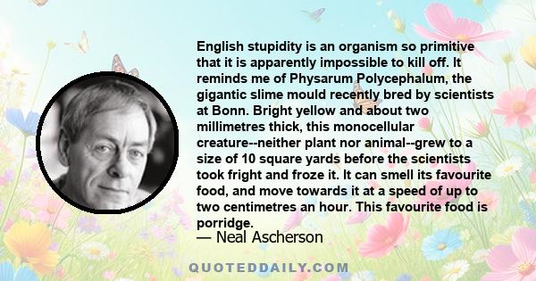 English stupidity is an organism so primitive that it is apparently impossible to kill off. It reminds me of Physarum Polycephalum, the gigantic slime mould recently bred by scientists at Bonn. Bright yellow and about