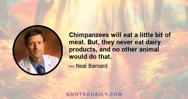 Chimpanzees will eat a little bit of meat. But, they never eat dairy products, and no other animal would do that.