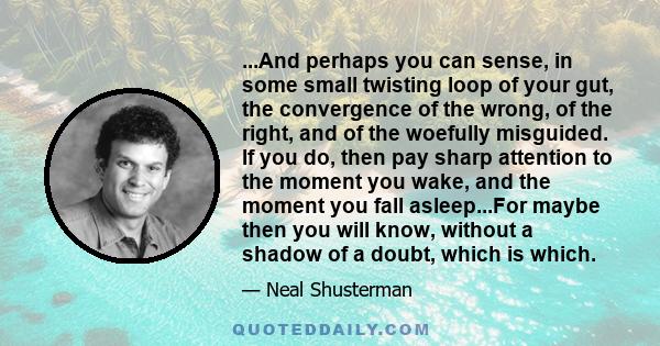 ...And perhaps you can sense, in some small twisting loop of your gut, the convergence of the wrong, of the right, and of the woefully misguided. If you do, then pay sharp attention to the moment you wake, and the