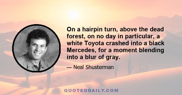 On a hairpin turn, above the dead forest, on no day in particular, a white Toyota crashed into a black Mercedes, for a moment blending into a blur of gray.