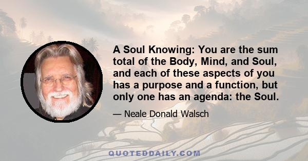 A Soul Knowing: You are the sum total of the Body, Mind, and Soul, and each of these aspects of you has a purpose and a function, but only one has an agenda: the Soul.