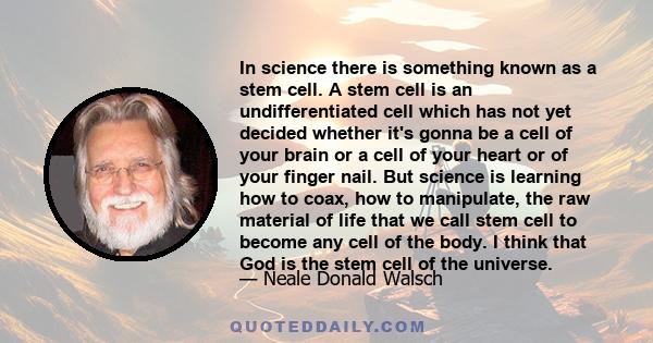 In science there is something known as a stem cell. A stem cell is an undifferentiated cell which has not yet decided whether it's gonna be a cell of your brain or a cell of your heart or of your finger nail. But