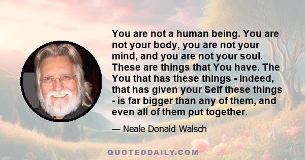 You are not a human being. You are not your body, you are not your mind, and you are not your soul. These are things that You have. The You that has these things - indeed, that has given your Self these things - is far