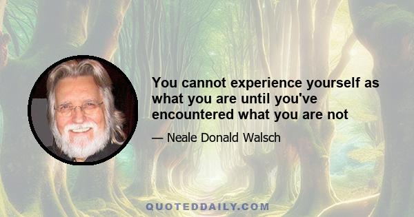 You cannot experience yourself as what you are until you've encountered what you are not