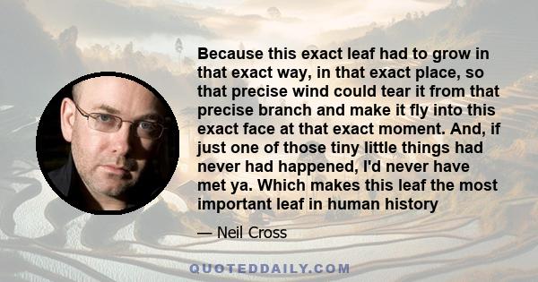 Because this exact leaf had to grow in that exact way, in that exact place, so that precise wind could tear it from that precise branch and make it fly into this exact face at that exact moment. And, if just one of