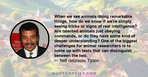 When we see animals doing remarkable things, how do we know if we're simply seeing tricks or signs of real intelligence? Are talented animals just obeying commands, or do they have some kind of deeper understanding? One 