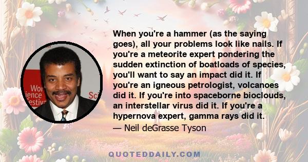 When you're a hammer (as the saying goes), all your problems look like nails. If you're a meteorite expert pondering the sudden extinction of boatloads of species, you'll want to say an impact did it. If you're an