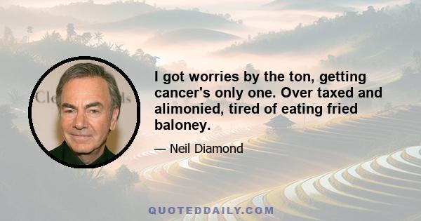 I got worries by the ton, getting cancer's only one. Over taxed and alimonied, tired of eating fried baloney.