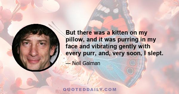 But there was a kitten on my pillow, and it was purring in my face and vibrating gently with every purr, and, very soon, I slept.