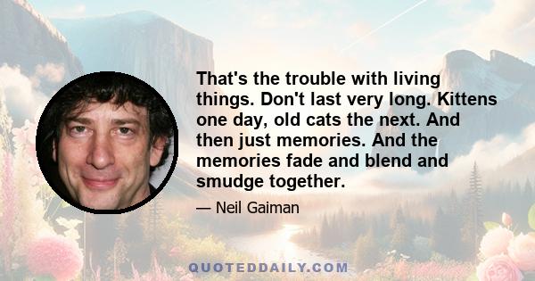 That's the trouble with living things. Don't last very long. Kittens one day, old cats the next. And then just memories. And the memories fade and blend and smudge together.