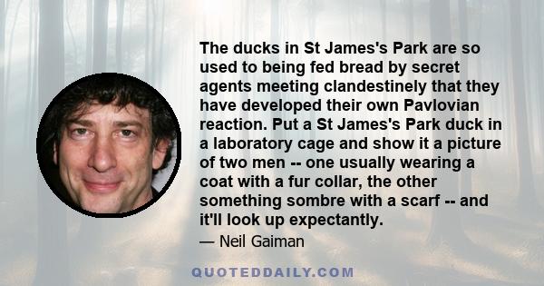 The ducks in St James's Park are so used to being fed bread by secret agents meeting clandestinely that they have developed their own Pavlovian reaction. Put a St James's Park duck in a laboratory cage and show it a