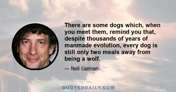 There are some dogs which, when you meet them, remind you that, despite thousands of years of manmade evolution, every dog is still only two meals away from being a wolf.