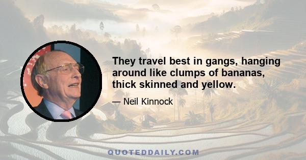 They travel best in gangs, hanging around like clumps of bananas, thick skinned and yellow.