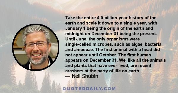 Take the entire 4.5-billion-year history of the earth and scale it down to a single year, with January 1 being the origin of the earth and midnight on December 31 being the present. Until June, the only organisms were