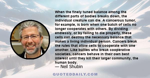 When the finely tuned balance among the different parts of bodies breaks down, the individual creature can die. A cancerous tumor, for example, is born when one batch of cells no longer cooperates with others. By