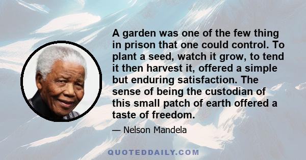 A garden was one of the few thing in prison that one could control. To plant a seed, watch it grow, to tend it then harvest it, offered a simple but enduring satisfaction. The sense of being the custodian of this small