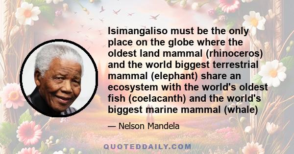 Isimangaliso must be the only place on the globe where the oldest land mammal (rhinoceros) and the world biggest terrestrial mammal (elephant) share an ecosystem with the world's oldest fish (coelacanth) and the world's 