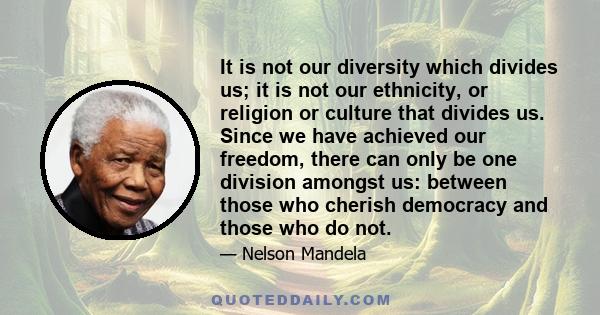 It is not our diversity which divides us; it is not our ethnicity, or religion or culture that divides us. Since we have achieved our freedom, there can only be one division amongst us: between those who cherish