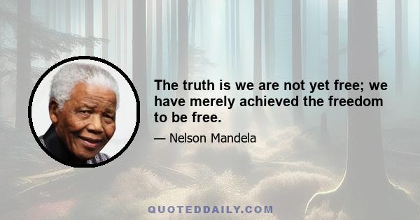 The truth is we are not yet free; we have merely achieved the freedom to be free.