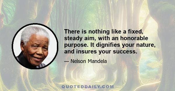 There is nothing like a fixed, steady aim, with an honorable purpose. It dignifies your nature, and insures your success.