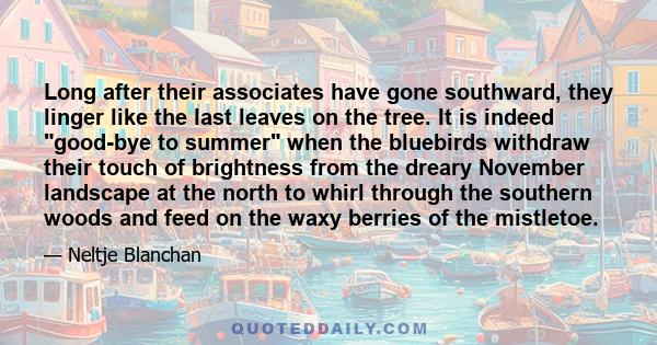 Long after their associates have gone southward, they linger like the last leaves on the tree. It is indeed good-bye to summer when the bluebirds withdraw their touch of brightness from the dreary November landscape at