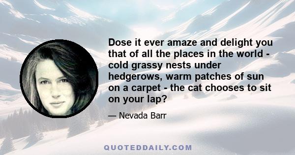 Dose it ever amaze and delight you that of all the places in the world - cold grassy nests under hedgerows, warm patches of sun on a carpet - the cat chooses to sit on your lap?