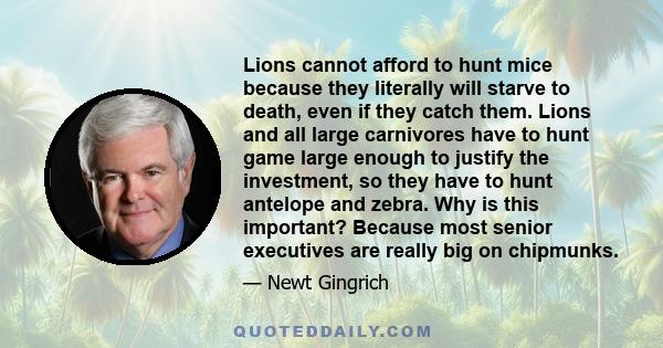 Lions cannot afford to hunt mice because they literally will starve to death, even if they catch them. Lions and all large carnivores have to hunt game large enough to justify the investment, so they have to hunt