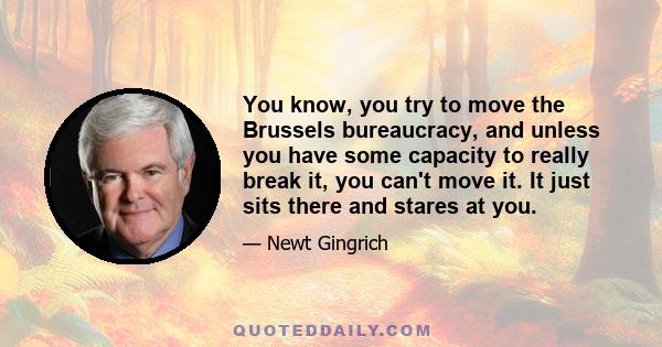 You know, you try to move the Brussels bureaucracy, and unless you have some capacity to really break it, you can't move it. It just sits there and stares at you.