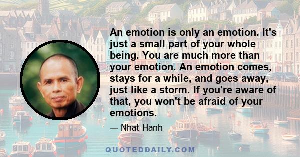 An emotion is only an emotion. It's just a small part of your whole being. You are much more than your emotion. An emotion comes, stays for a while, and goes away, just like a storm. If you're aware of that, you won't