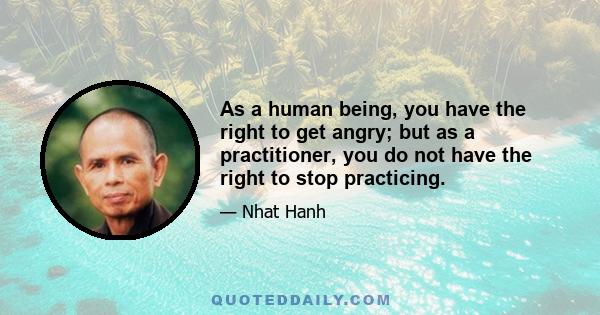 As a human being, you have the right to get angry; but as a practitioner, you do not have the right to stop practicing.