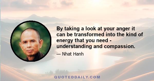 By taking a look at your anger it can be transformed into the kind of energy that you need - understanding and compassion.