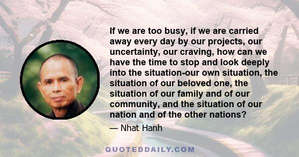 If we are too busy, if we are carried away every day by our projects, our uncertainty, our craving, how can we have the time to stop and look deeply into the situation-our own situation, the situation of our beloved