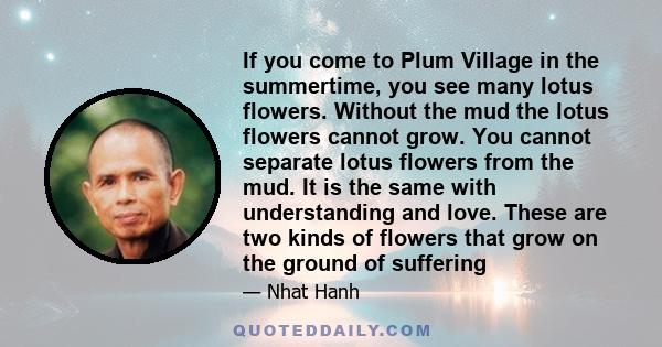 If you come to Plum Village in the summertime, you see many lotus flowers. Without the mud the lotus flowers cannot grow. You cannot separate lotus flowers from the mud. It is the same with understanding and love. These 