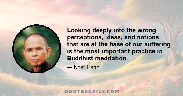 Looking deeply into the wrong perceptions, ideas, and notions that are at the base of our suffering is the most important practice in Buddhist meditation.