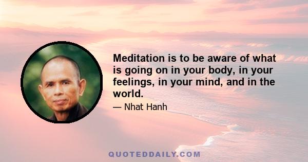 Meditation is to be aware of what is going on in your body, in your feelings, in your mind, and in the world.