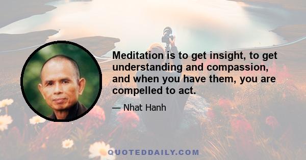 Meditation is to get insight, to get understanding and compassion, and when you have them, you are compelled to act.