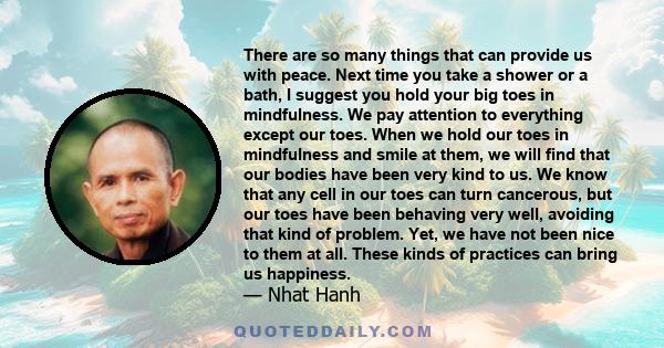 There are so many things that can provide us with peace. Next time you take a shower or a bath, I suggest you hold your big toes in mindfulness. We pay attention to everything except our toes. When we hold our toes in