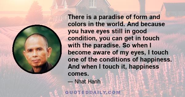 There is a paradise of form and colors in the world. And because you have eyes still in good condition, you can get in touch with the paradise. So when I become aware of my eyes, I touch one of the conditions of