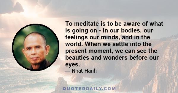 To meditate is to be aware of what is going on - in our bodies, our feelings our minds, and in the world. When we settle into the present moment, we can see the beauties and wonders before our eyes.