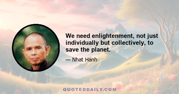 We need enlightenment, not just individually but collectively, to save the planet.