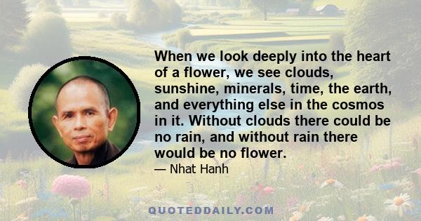 When we look deeply into the heart of a flower, we see clouds, sunshine, minerals, time, the earth, and everything else in the cosmos in it. Without clouds there could be no rain, and without rain there would be no