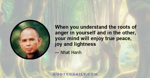 When you understand the roots of anger in yourself and in the other, your mind will enjoy true peace, joy and lightness